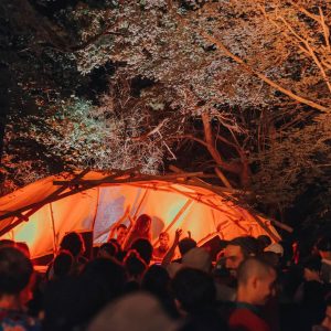 La Vallée Electrique festival scene foret