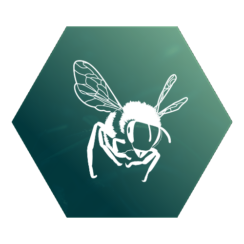 Melifera Bee Logo