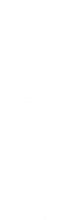 Copie de Vibrance logo blanc